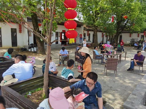 羅田假日旅游 產品豐富，服務文明有序
