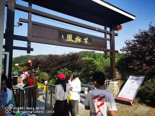 羅田假日旅游 產品豐富，服務文明有序